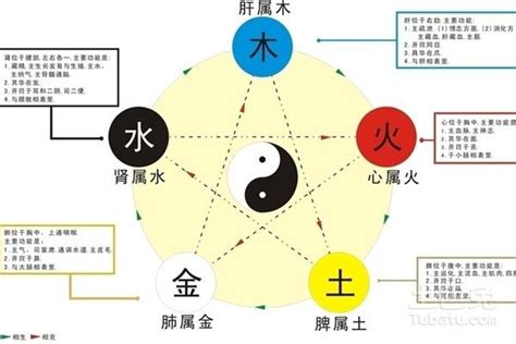 五行補水|五行缺水如何補救，很多人並不知道補水還有這些方法。